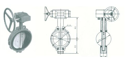 渦輪對(duì)夾式蝶閥結(jié)構(gòu)圖